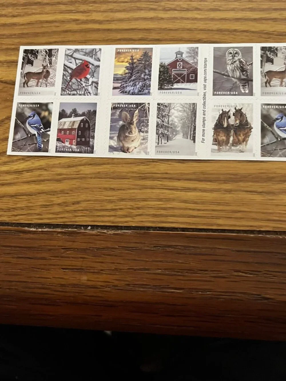 Winter Scenes forever postage stamps-booklet of 20-mint